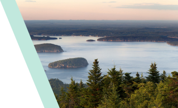 人工濕地技術(shù)