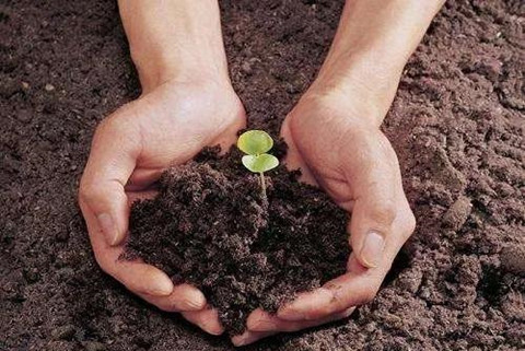 近日，天津市生態(tài)環(huán)境局印發(fā)《天津市土壤污染重點(diǎn)監(jiān)管單位周邊土壤及地下水環(huán)境監(jiān)測技術(shù)指南》（試行）