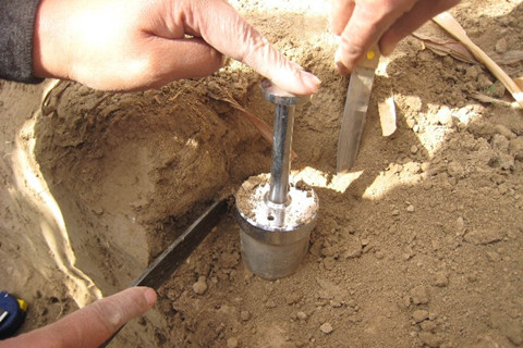 土壤調查的內容有哪些？