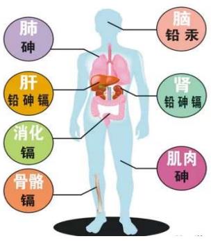 1609387129482931.jpg 污染物對(duì)人體傷害.jpg